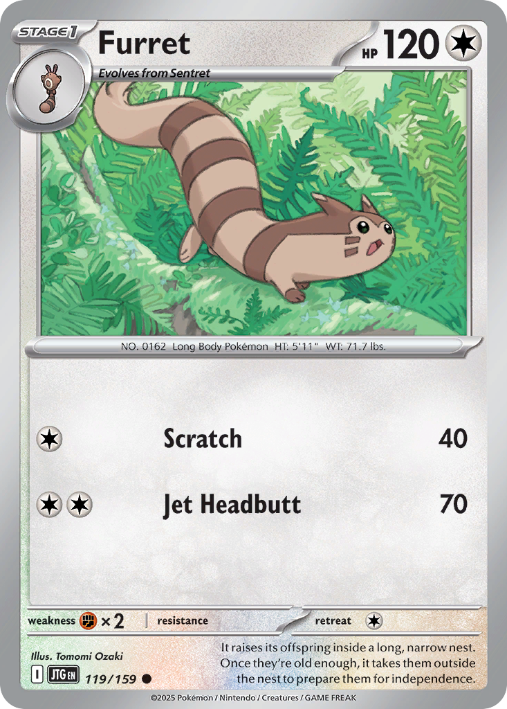 Furret Journey Together 119