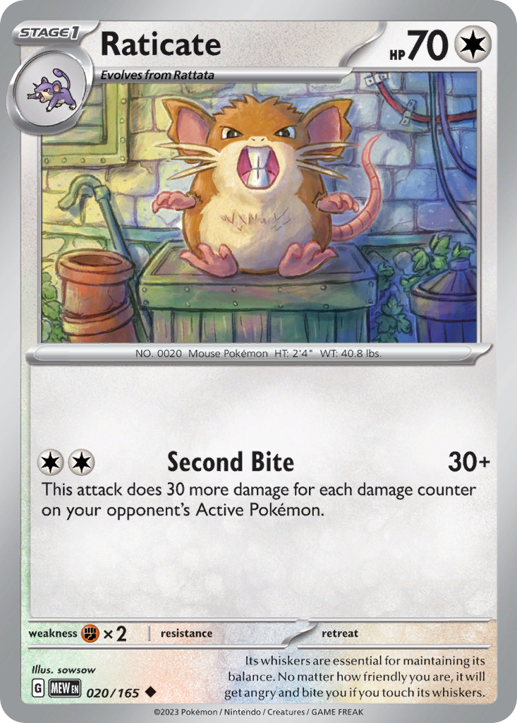 Raticate #20