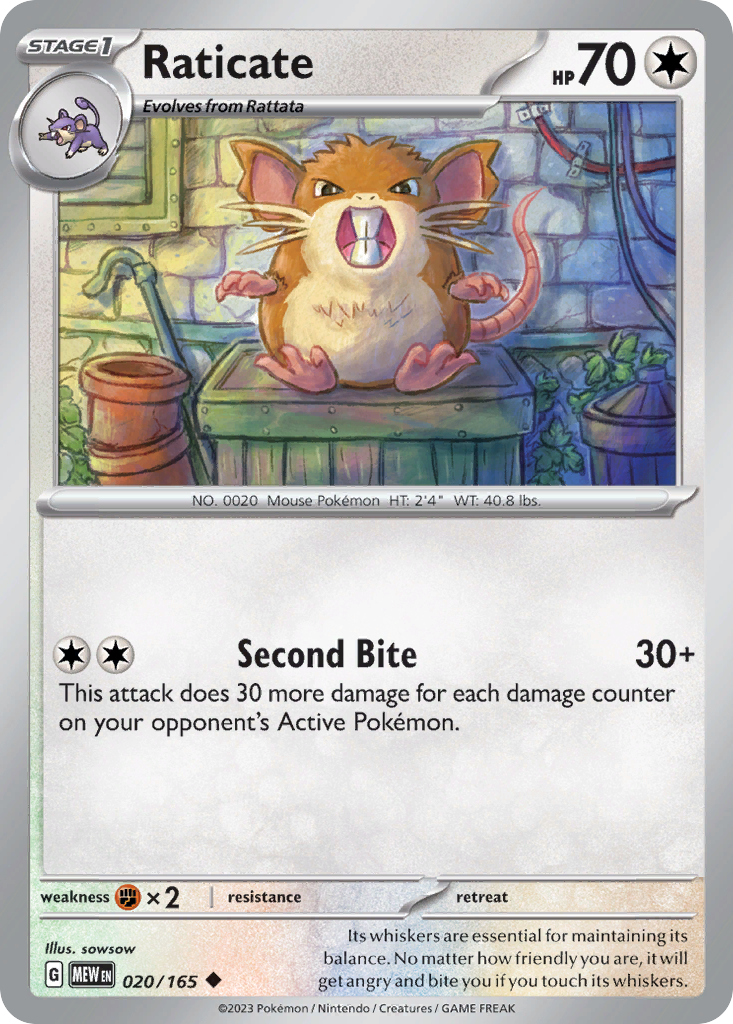 Raticate 151 20