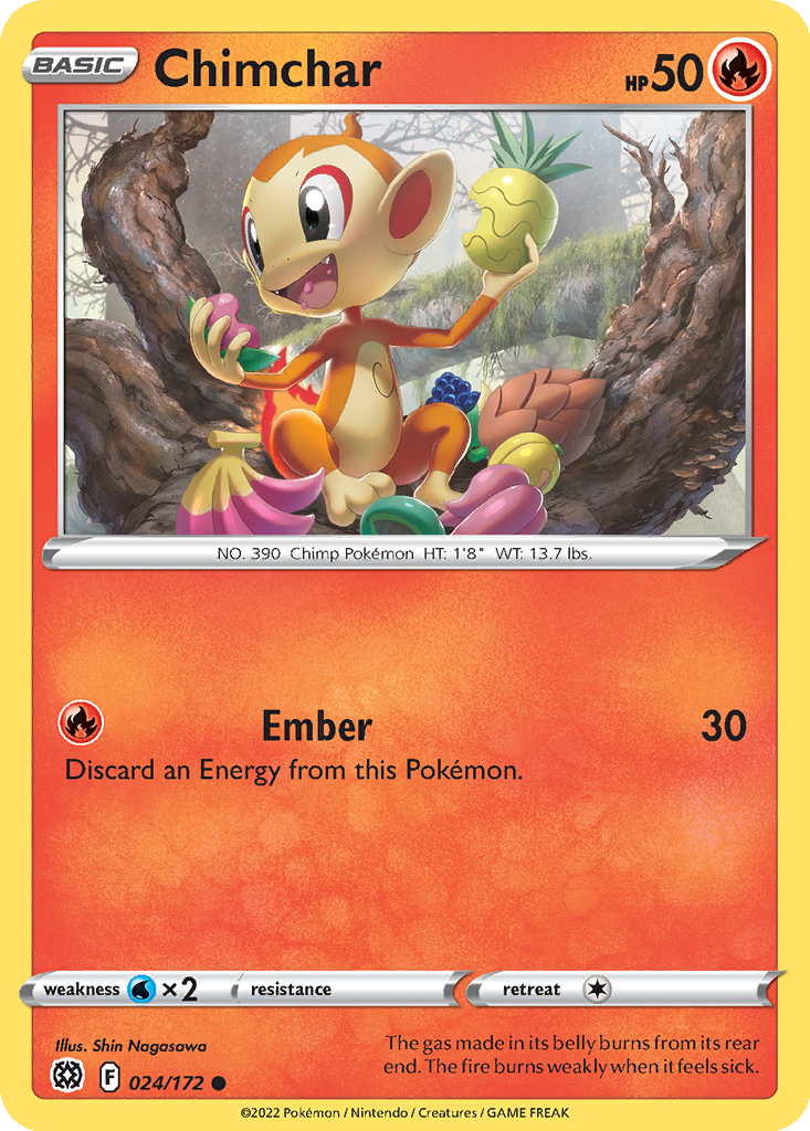 Chimchar #24