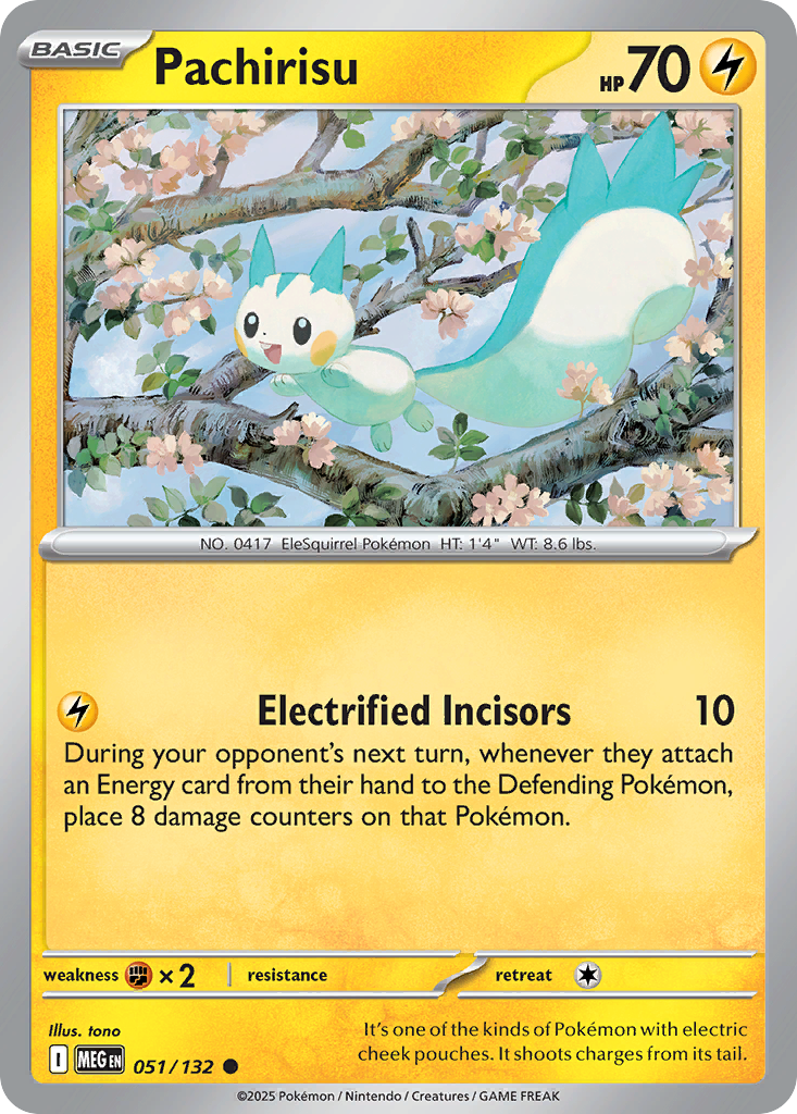 Pachirisu #51