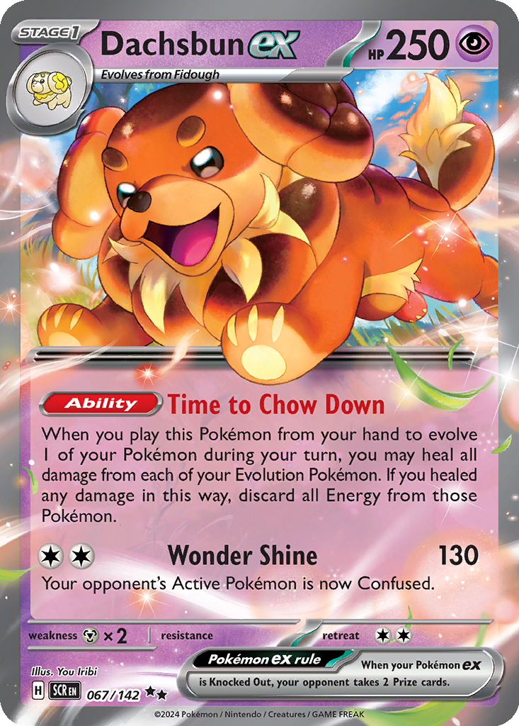 Dachsbun ex #67