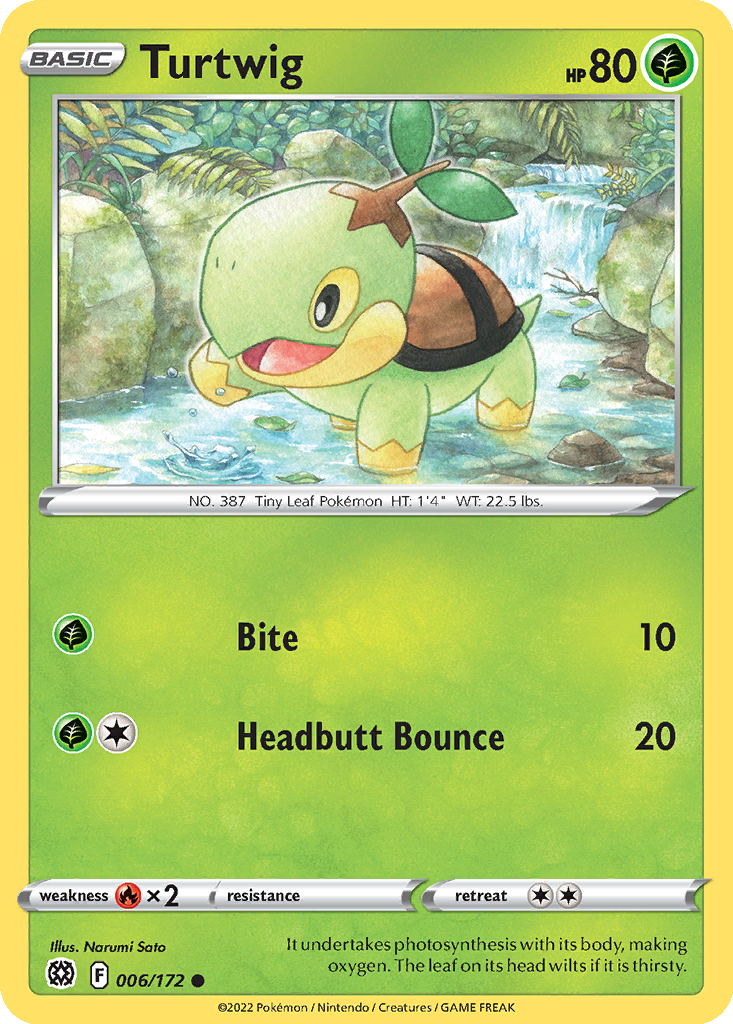 Turtwig #6
