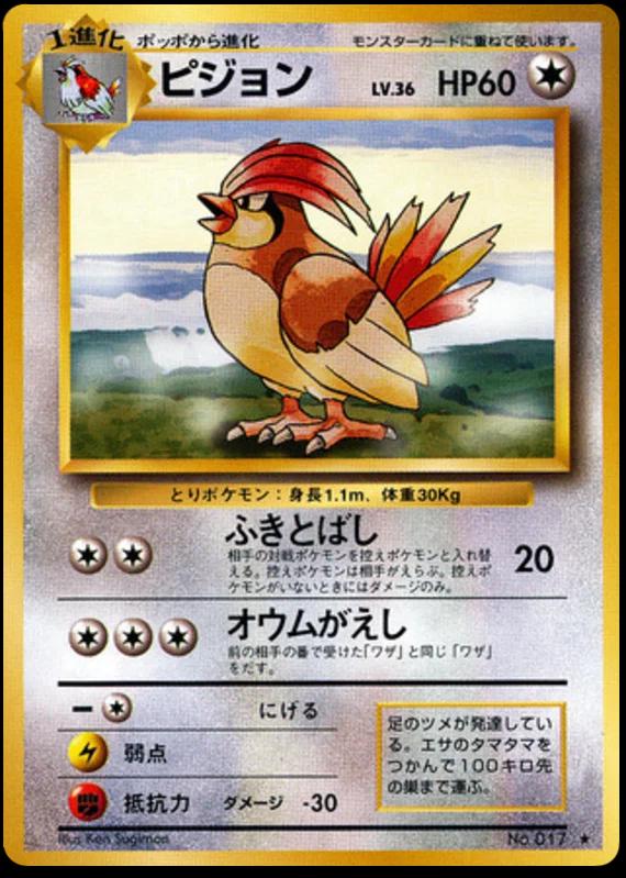 Pidgeotto #17