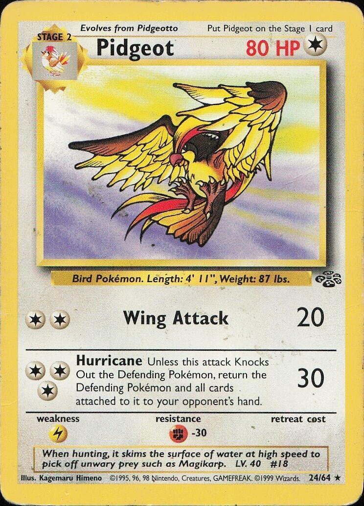 Pidgeot #24