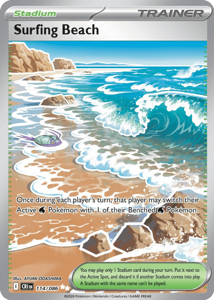 Surfing Beach #114
