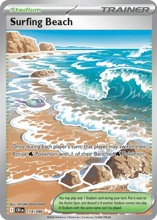 Surfing Beach #114