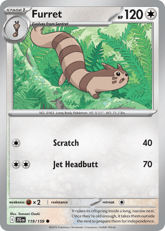 Furret #119