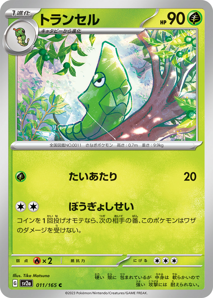 Metapod #11