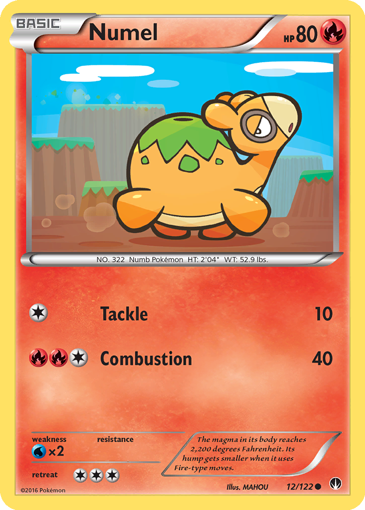 Numel #12