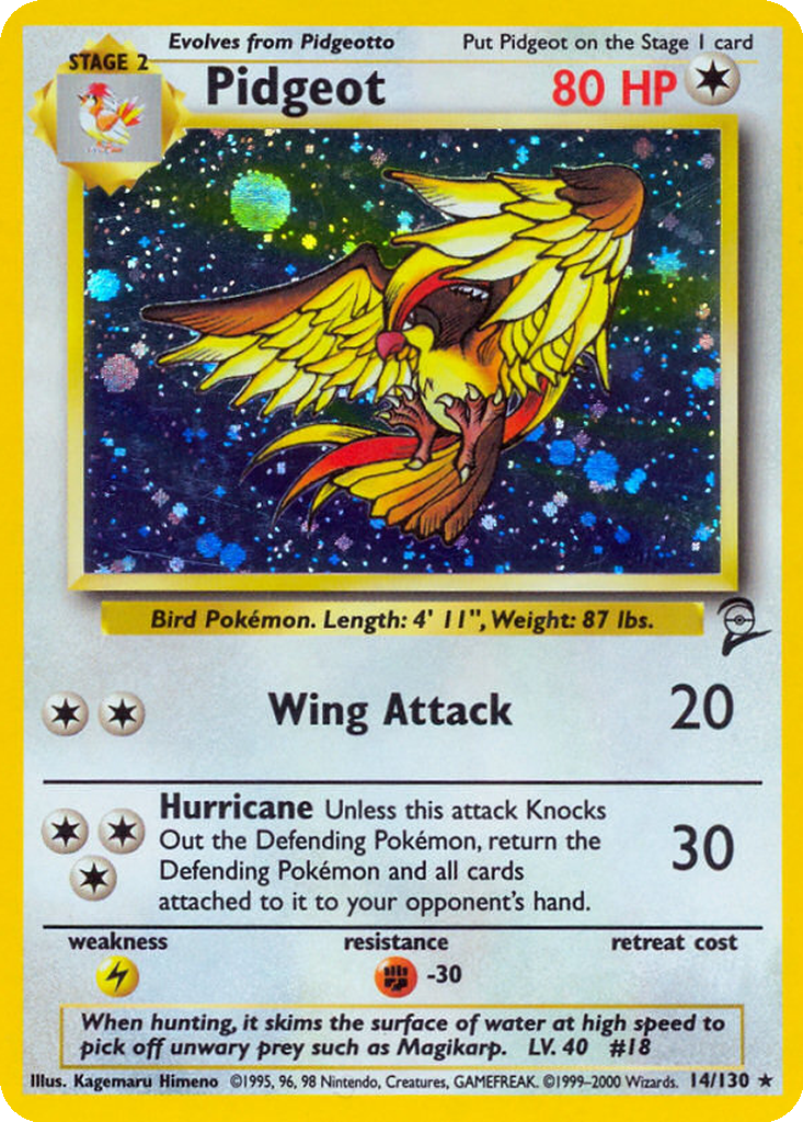 Pidgeot #14