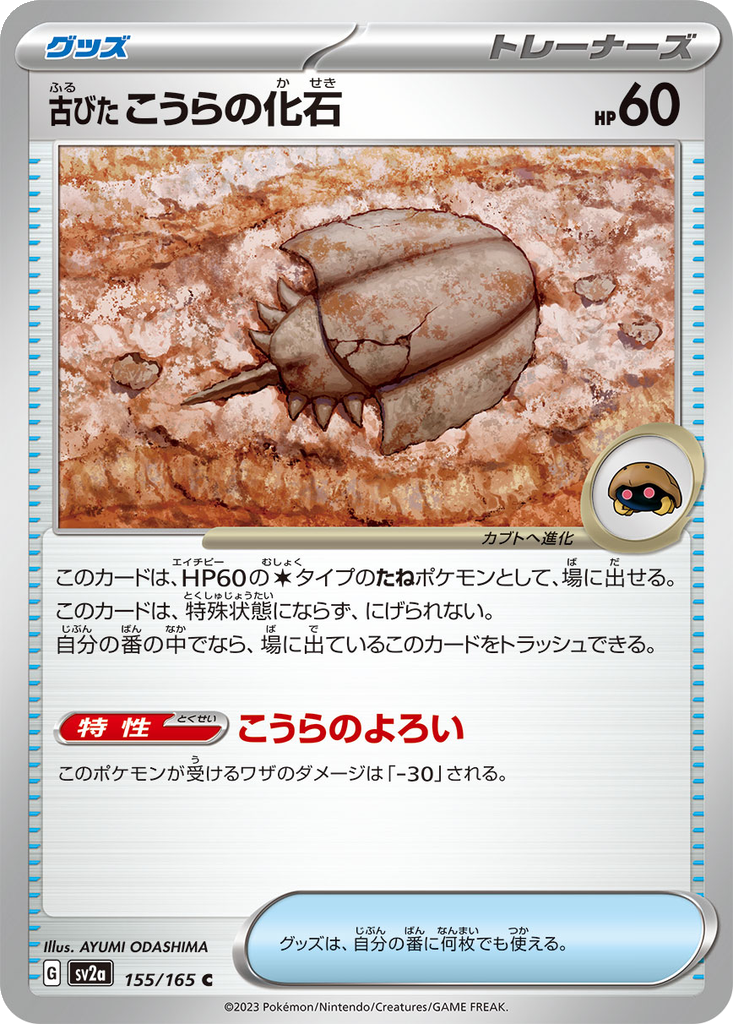 Old Dome Fossil #155