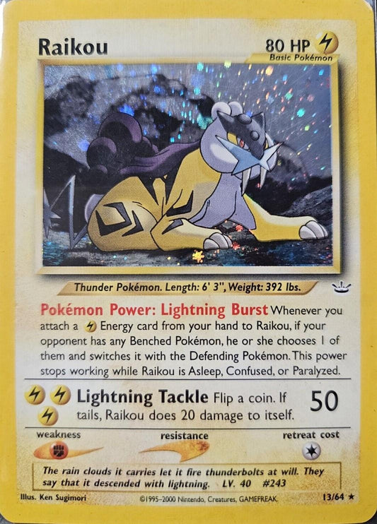 Raikou #13