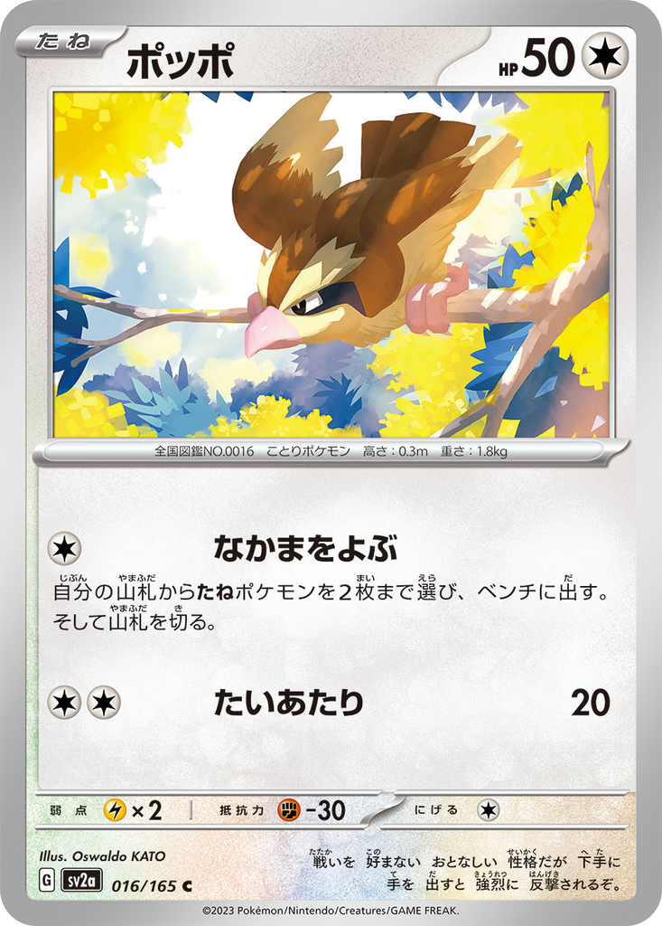 Pidgey #16