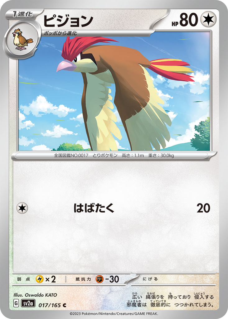Pidgeotto [Reverse] #17