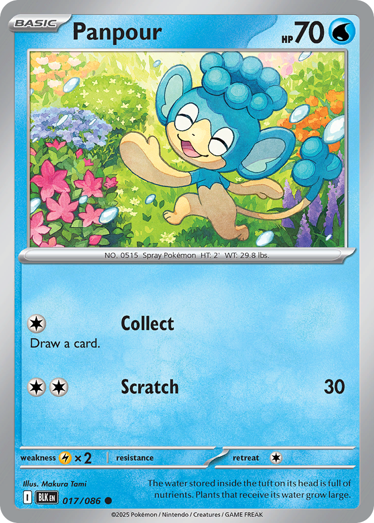 Panpour [Master Ball] #17