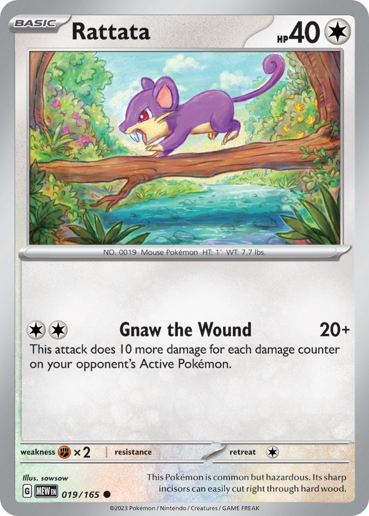 Rattata #19