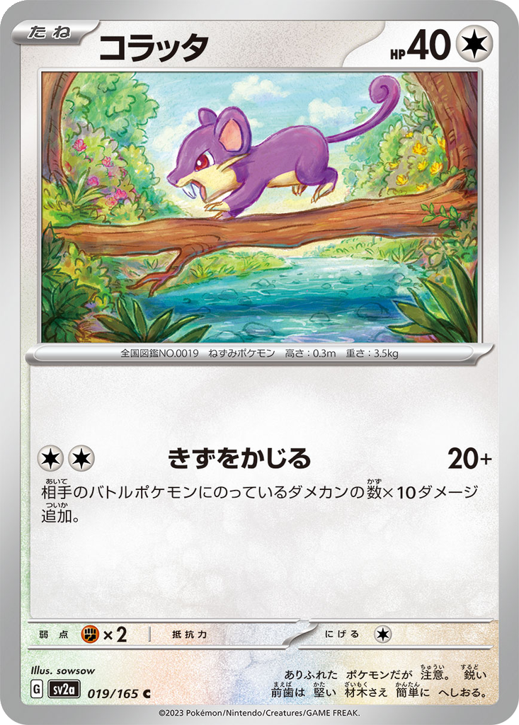 Rattata [Reverse] #19