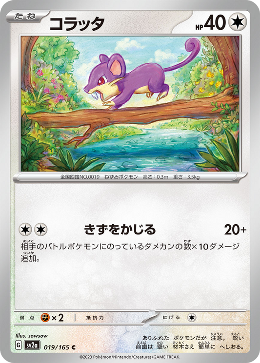 Rattata [Reverse] #19