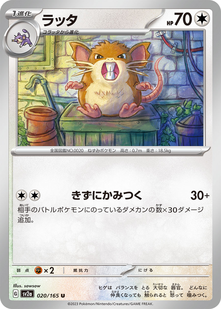Raticate [Reverse] #20