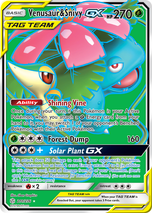 Venusaur & Snivy-GX Cosmic Eclipse 210