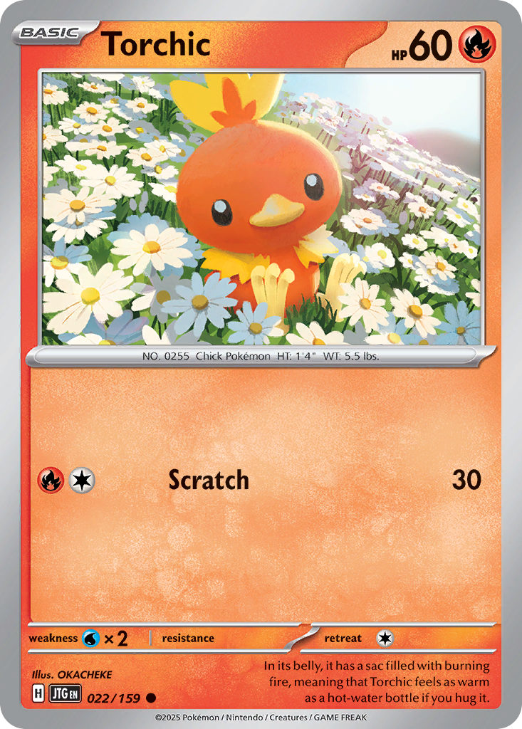 Torchic #22