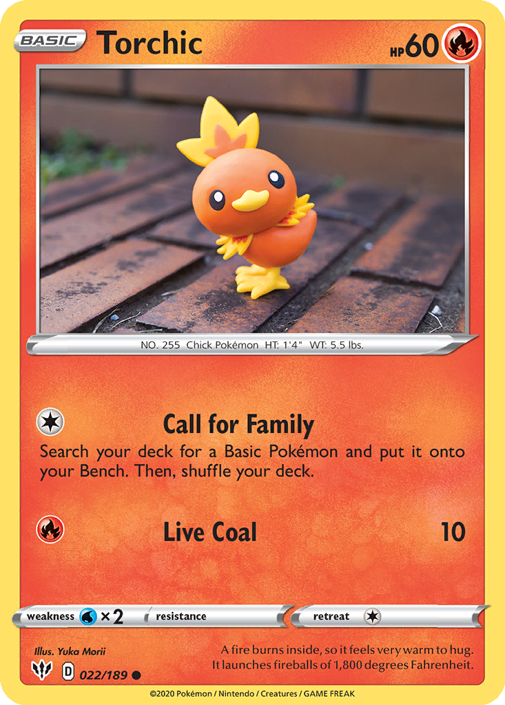 Torchic #22