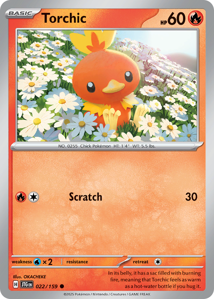 Torchic Journey Together 22