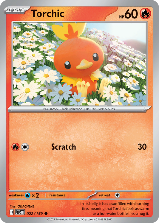 Torchic Journey Together 22