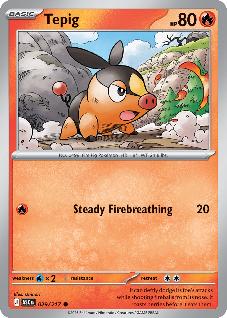 Tepig #29