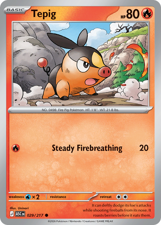Tepig #29