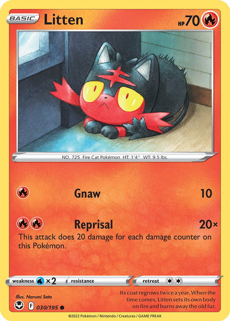 Litten #30