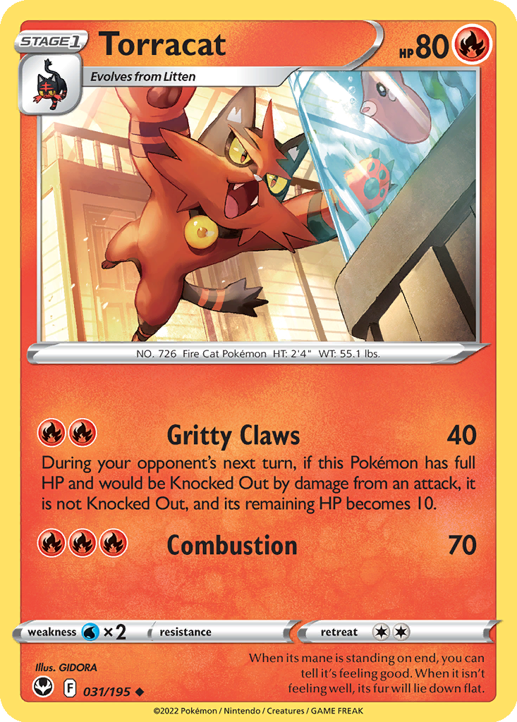 Torracat #31