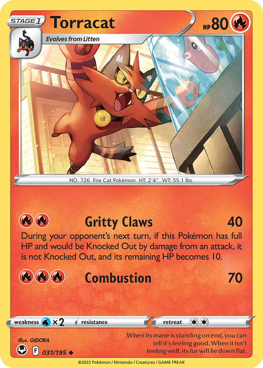 Torracat #31