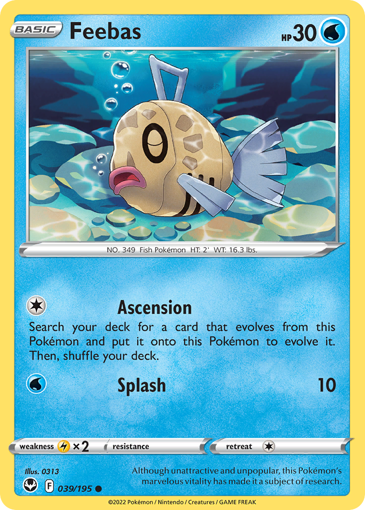 Feebas Silver Tempest 39