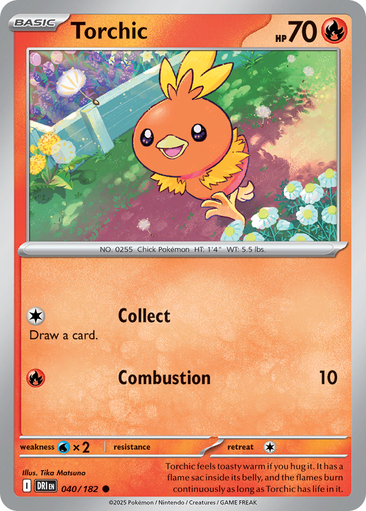 Torchic #40