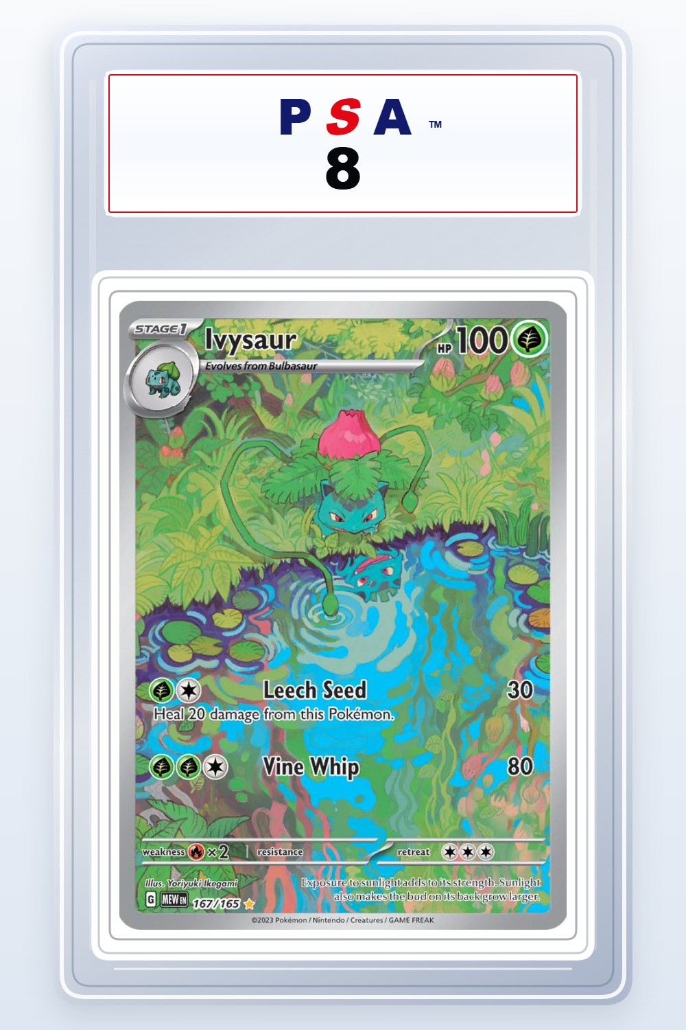 Ivysaur #167 PSA 8