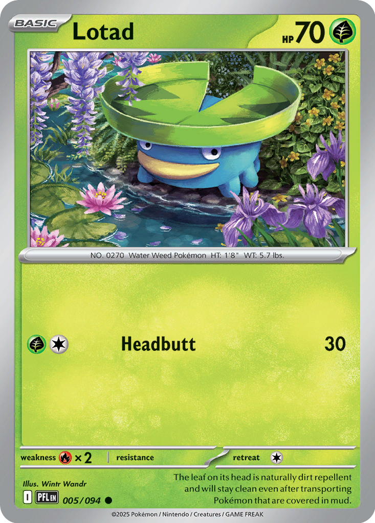 Lotad #5