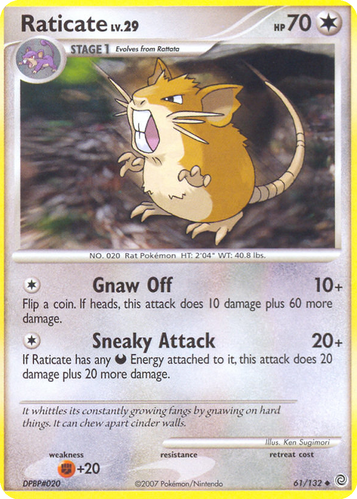 Raticate #61