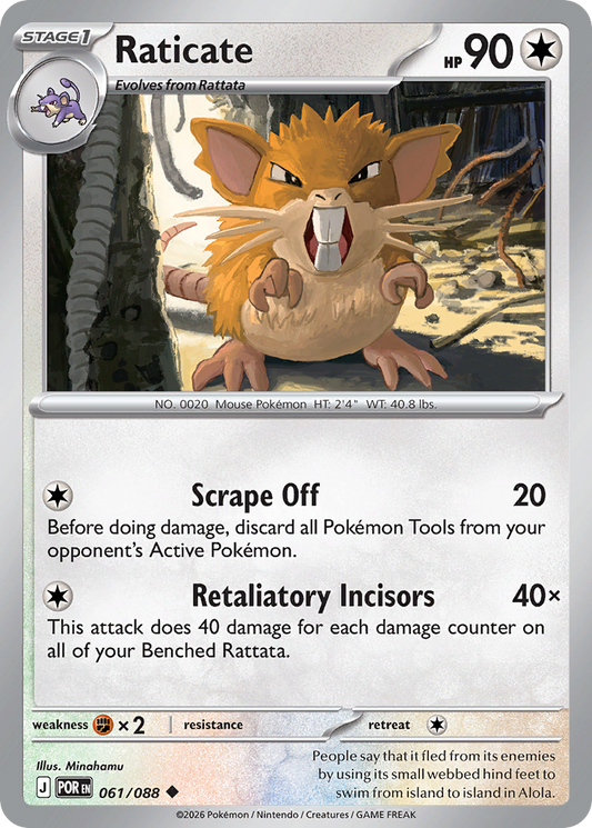 Raticate #61