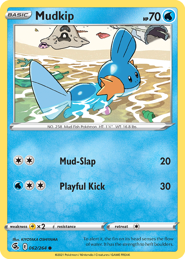 Mudkip #62