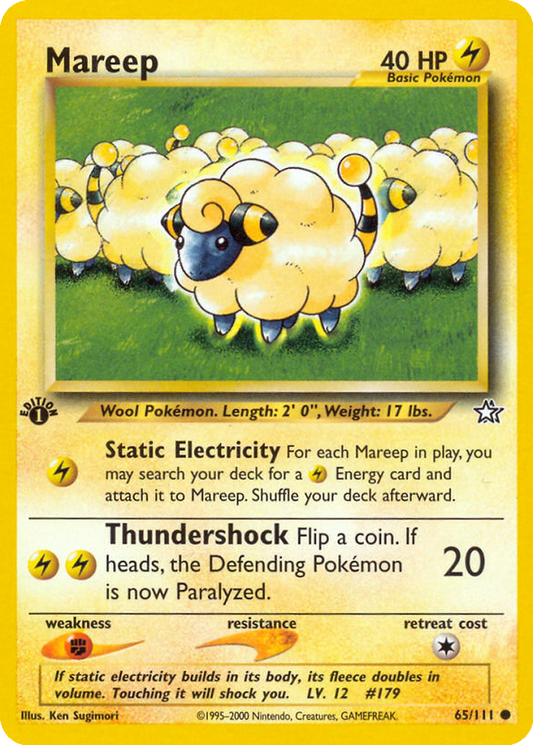 Mareep #65