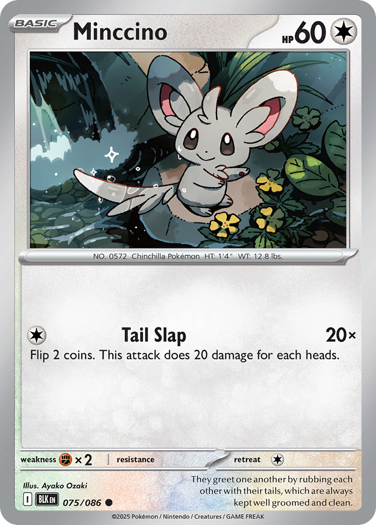 Minccino Black Bolt 75