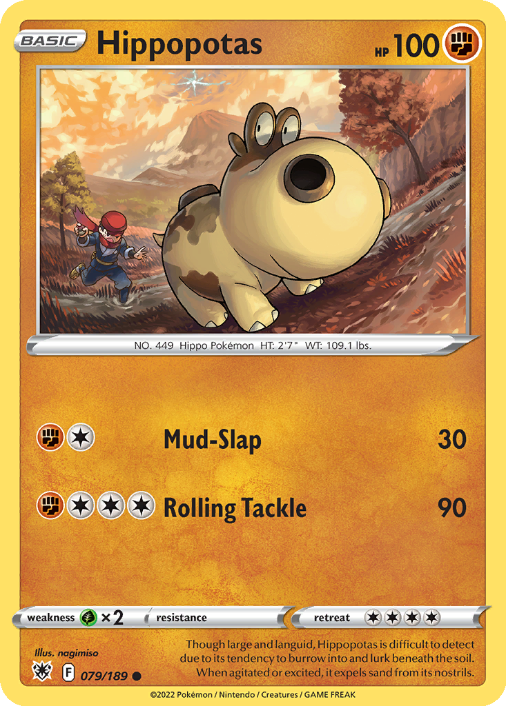 Hippopotas #79