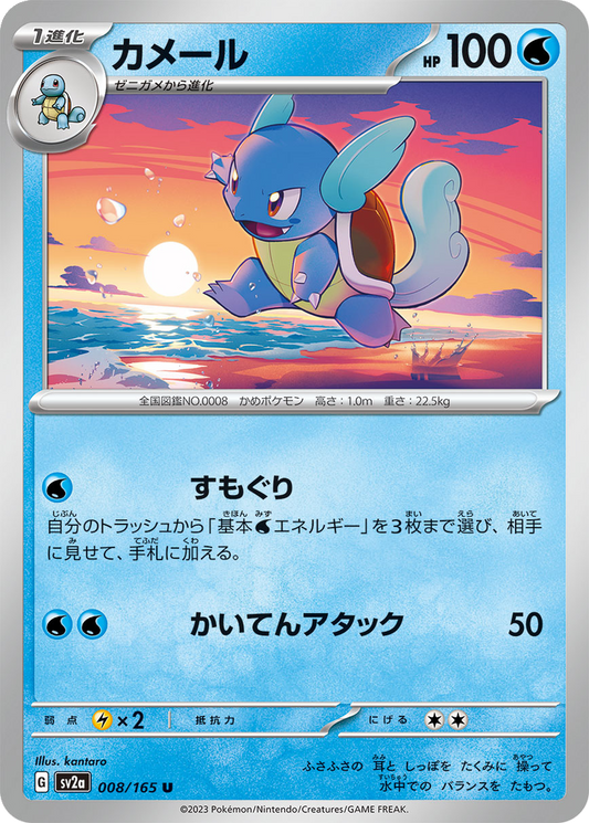Wartortle #8
