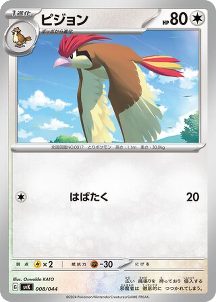 Pidgeotto #8