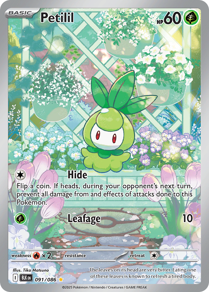 Petilil #91