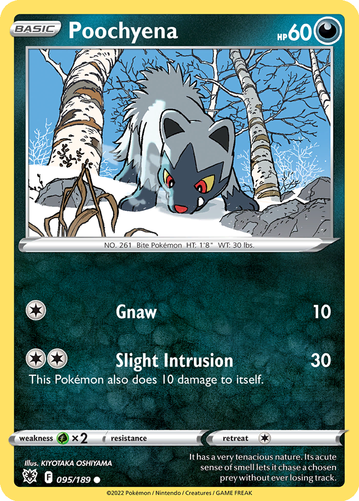 Poochyena #95