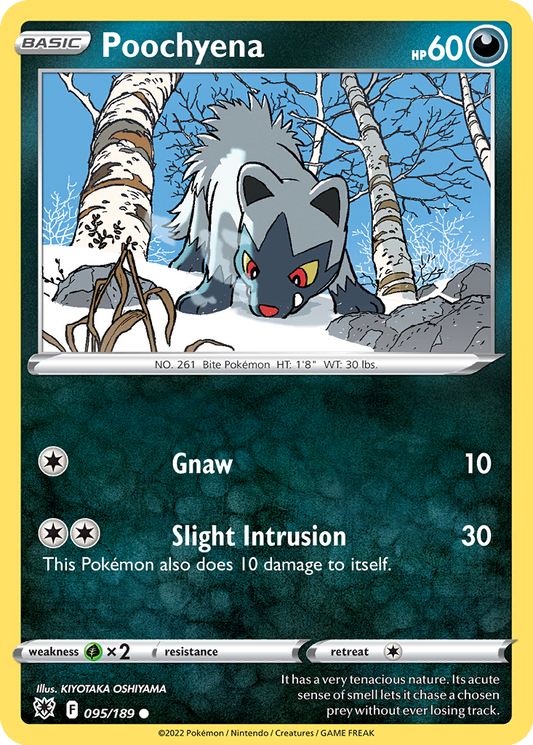 Poochyena #95