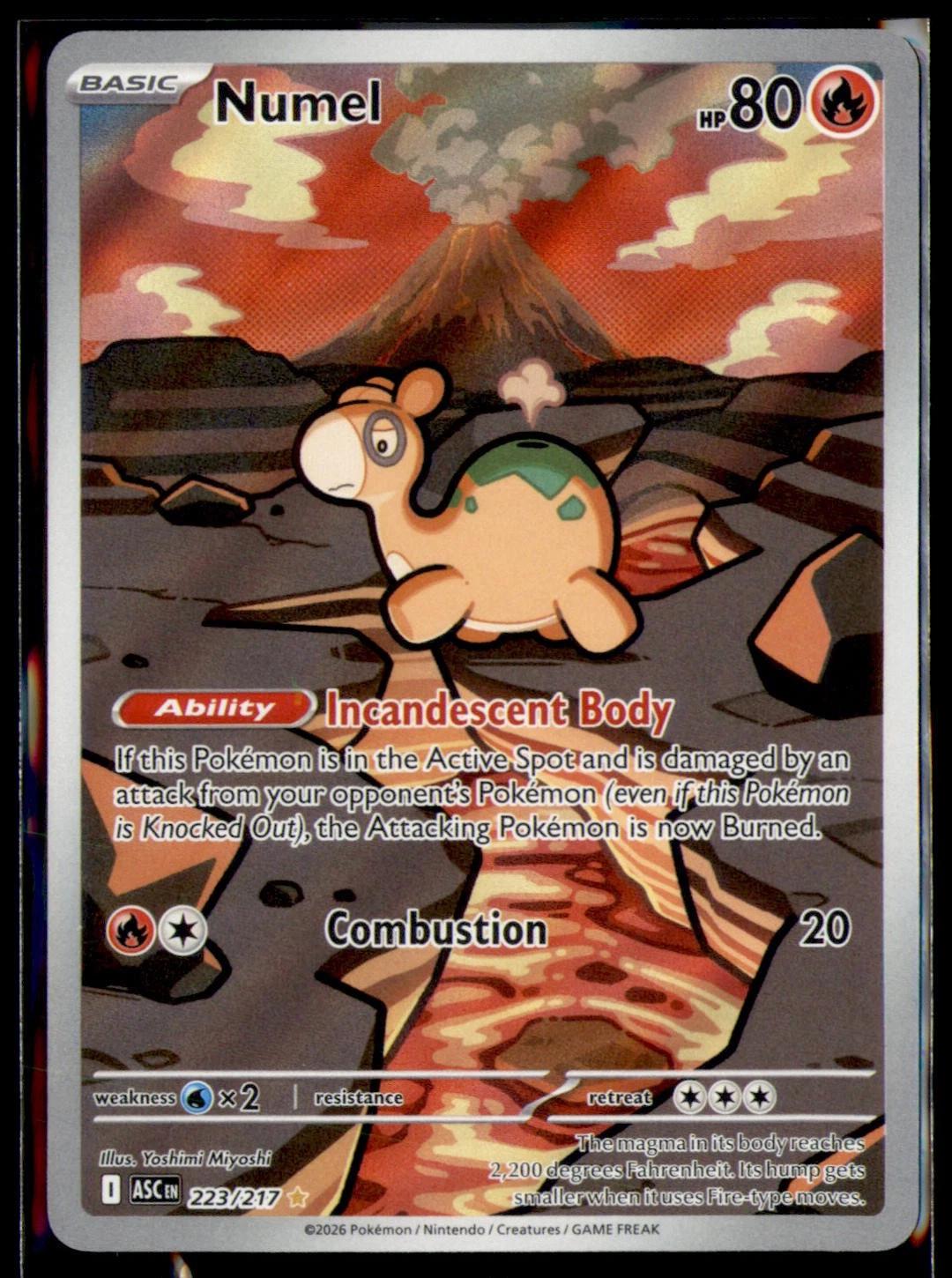 Numel #223